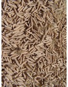 Rare ! 5 graines d'Adénium arabicum (Yemen)