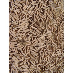 Rare ! 5 graines d'Adénium arabicum (Yemen)