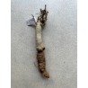 Baobab africain (Adansonia digitata) de 12 ans n°33 + graines