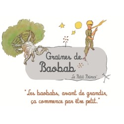 50 sachets de 8 graines de baobab (Adansonia digitata) - Le Petit Prince