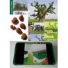 Kit plantation école n°1 : 4 mini-serres, 100 graines de baobab africain, posters,...