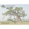 Kit plantation école n°1 : 4 mini-serres, 100 graines de baobab africain, posters,...