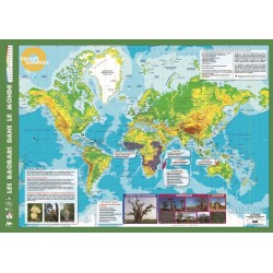 Kit plantation école n°1 : 4 mini-serres, 100 graines de baobab africain, posters,...