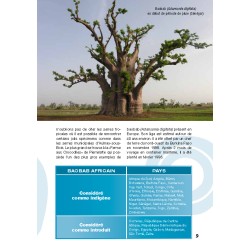 Guide de découverte des baobabs en version PDF - 40 pages
