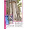 Guide de découverte des baobabs en version PDF - 40 pages