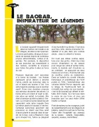 Guide de découverte des baobabs en version PDF - 40 pages