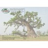 Kit plantation école n°2 : 4 mini-serres, 100 graines de baobab chacal, posters,...
