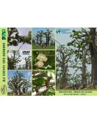 Kit plantation école n°2 : 4 mini-serres, 100 graines de baobab chacal, posters,...