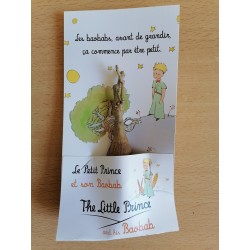 Arrivage !  2 jeunes baobabs (digitata) de 2 ans - Petit Prince + graines