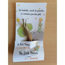 Arrivage !  2 jeunes baobabs (digitata) de 2 ans - Petit Prince + graines