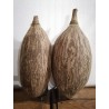 2 gros fruit de baobab - 30 cm