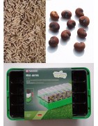 Kit semis n°2 : 4 mini-serres, 100 graines : baobab africain + chacal