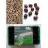 Kit semis n°2 : 4 mini-serres, 100 graines : baobab africain + chacal