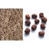 Kit semis n°2 : 4 mini-serres, 100 graines : baobab africain + chacal