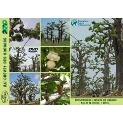 DVD "Au chevet des baobabs" - Association INECOBA