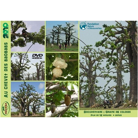 DVD "Au chevet des baobabs" - Association INECOBA