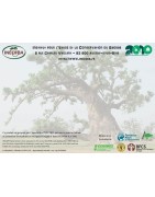 DVD "Au chevet des baobabs" - Association INECOBA