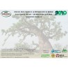 DVD "Au chevet des baobabs" - Association INECOBA
