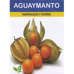 Graines de Physalis - Aguaymanto du Pérou