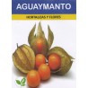 Graines de Physalis - Aguaymanto du Pérou