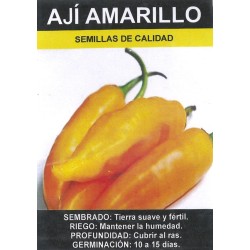 Graines d'Aji Amarillo (piment) du Pérou