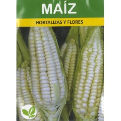 Graines de Choclo (mais blanc) du Pérou