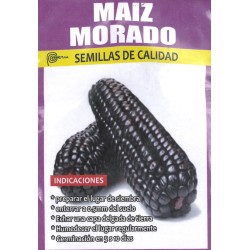 Graines de Mais Morado (mais violet) du Pérou