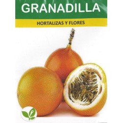 Graines de Grenadille du Pérou