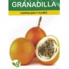 Graines de Grenadille du Pérou