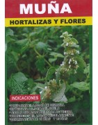 Graines de nuña du Pérou