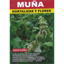 Graines de nuña du Pérou