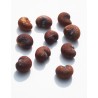 Jeune baobab (digitata) de 1 an - Petit Prince + graines