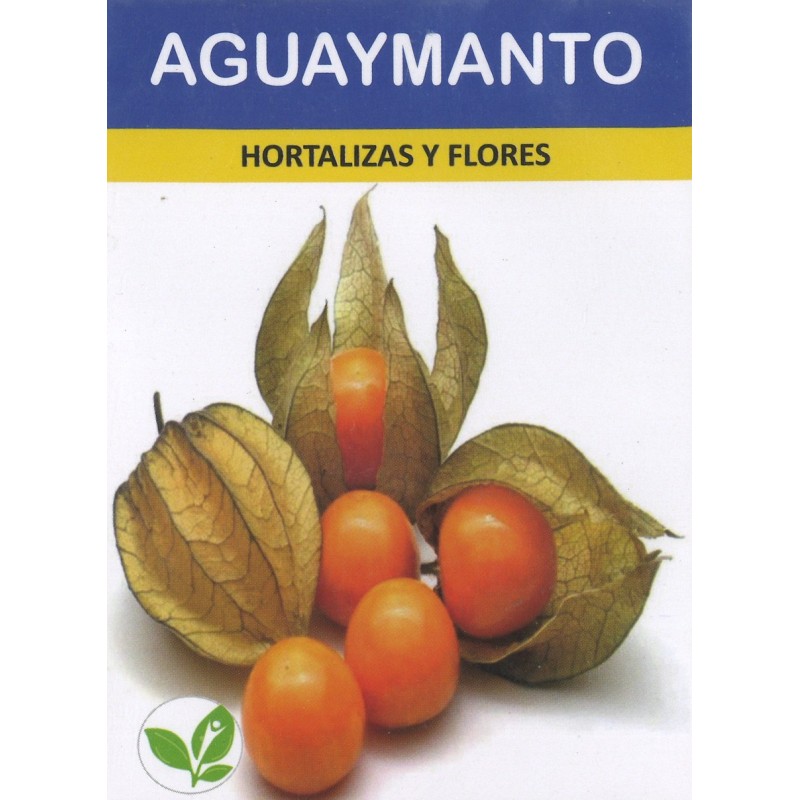 Graines de Physalis - Aguaymanto du Pérou