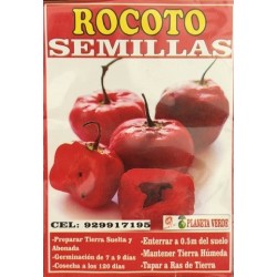 Graines de Rocoto du Pérou