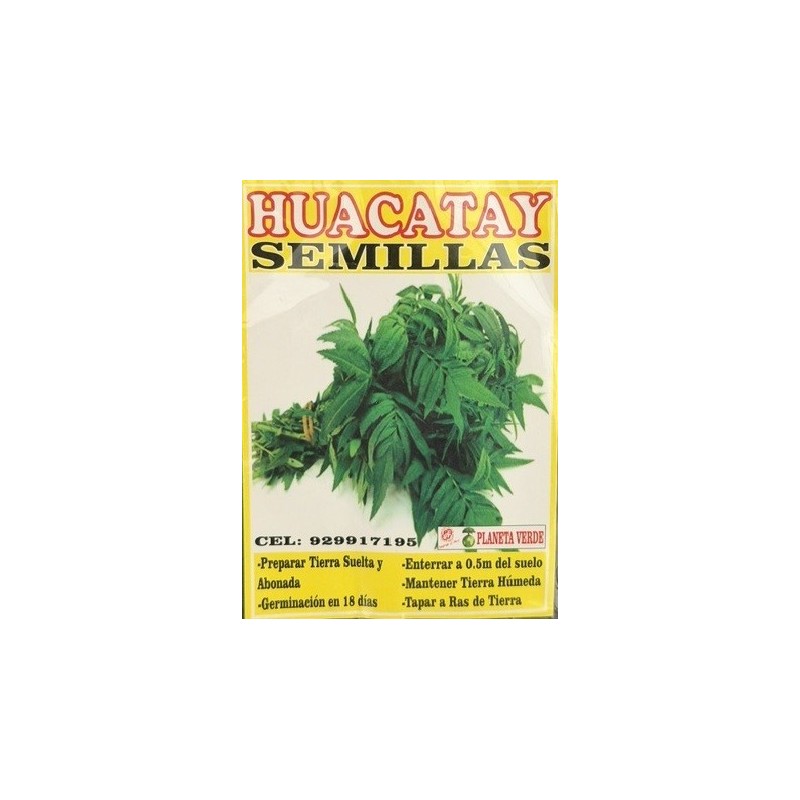 Graines de Hucatay du Pérou