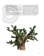 Fiches pédagogiques pdf Educo-Baobab : primaire CE/CM