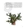Fiches pédagogiques pdf Educo-Baobab : primaire CE/CM