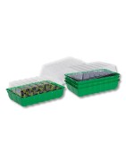 Lot de 4 mini-serres composées chacune d'un plateau, d'une plaque de 24 alvéoles et d'un couvercle transparent