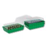Kit semis n°2 : 4 mini-serres, 100 graines : baobab africain + chacal