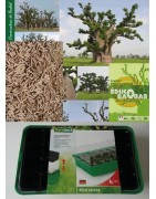 Kit plantation école n°2 : 4 mini-serres, 100 graines de baobab chacal, posters,...