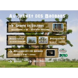 Kit plantation école n°3 : 4 mini-serres, 1 mini-baobab chacal, 100 graines de baobab chacal, posters,...