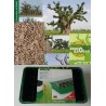 Kit plantation école n°3 : 4 mini-serres, 1 mini-baobab chacal, 100 graines de baobab chacal, posters,...