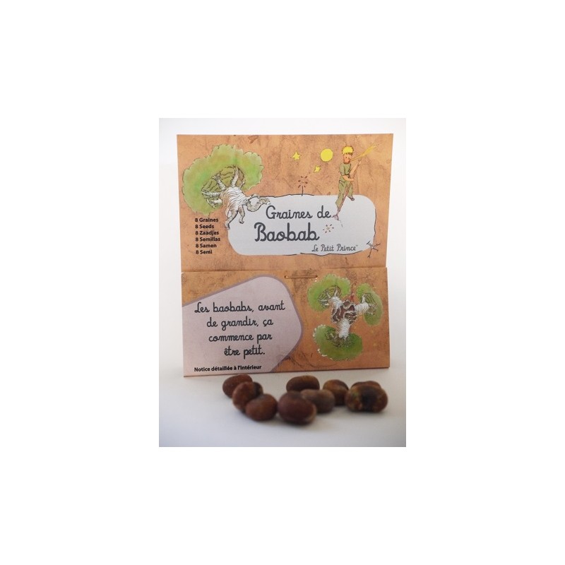 8 graines de baobab (Adansonia digitata) - Le Petit Prince