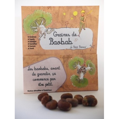8 graines de baobab (Adansonia digitata) - Le Petit Prince
