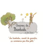 8 graines de baobab (Adansonia digitata) - Le Petit Prince