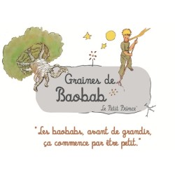 8 graines de baobab (Adansonia digitata) - Le Petit Prince