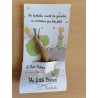 Disponible mai 2023 !  1 jeune baobab (digitata) de 2 ans - Petit Prince + graines