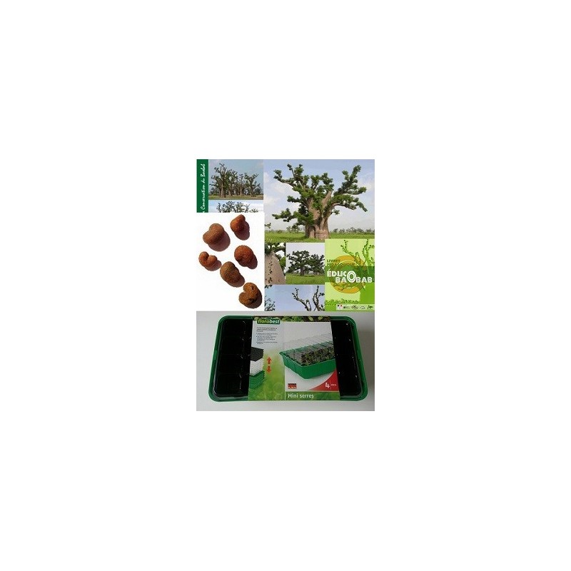 Kit enseignant semis & plantation avec mini-serres