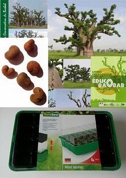 Kit enseignant semis & plantation avec mini-serres